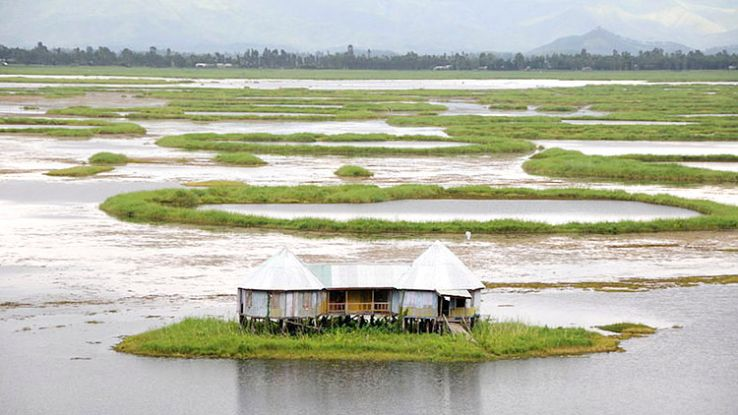 The World’s Only Floating National Park | Keibul Lamjao National Park